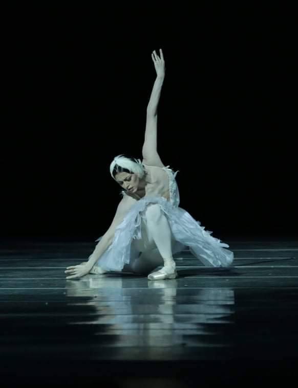 The Dying Swan, Photo by N.Razina at the Mariinsky Theatre